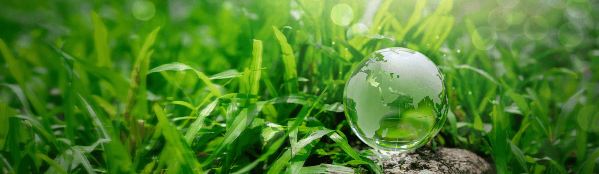 可持续banner1920_5581